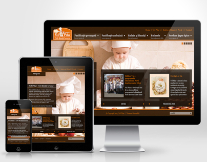 Vel Pitar - Website design proposal - 2012