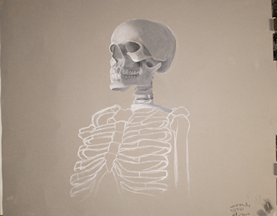 Skeleton Study (Unfinished, 2021)