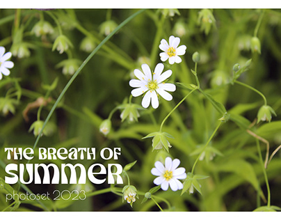 The breath of summer / photoset 2023