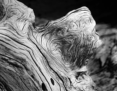 wood abstracts