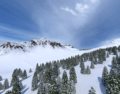 Snow Landscape