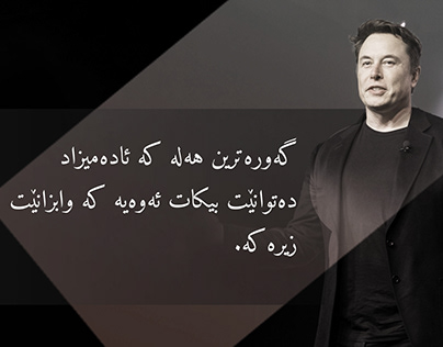 A Quote from Elon Musk