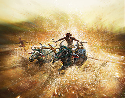 Maramadi - Cattle Race | Illustration
