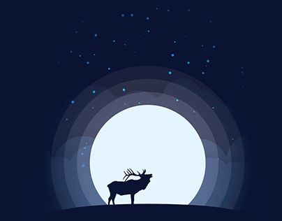 Moose in the Moonlight