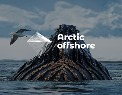 UX corporate website design for offshore