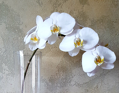Buy Pilsner Glass Vase Online | All in Bloom Designs