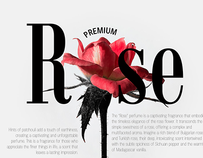 EXPERIENCE THE CAPTIVATING SOUL OF ROSE