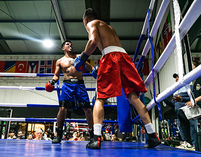 Velada Boxeo Silva Boxing