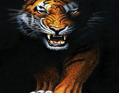 Tigers are powerful hunters with sharp teeth,