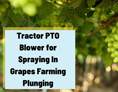 Tractor PTO Blower for Spraying In Grapes Farming