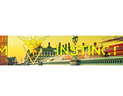 Team Instinct Banner