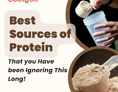 Best sources of protein that you have been ignoring