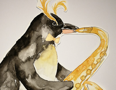 pinguins orchestra