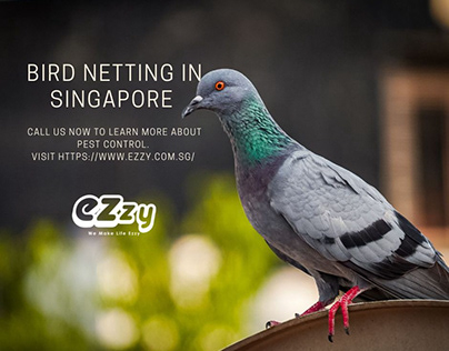 Bird Netting Singapore
