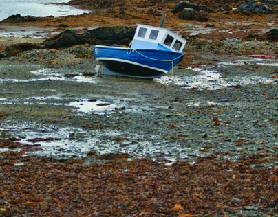 low tide, Scotland