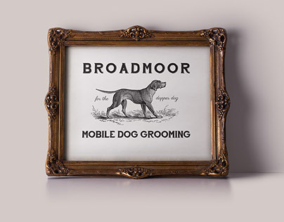 Broadmoor Mobile Dog Grooming