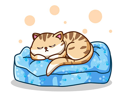 A cat sleeping on the mattress