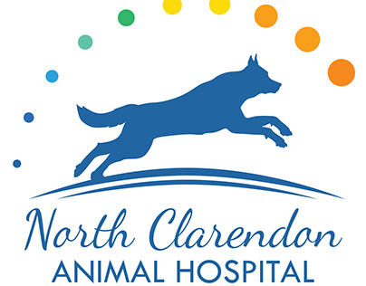 North Clarendon Animal Hospital
