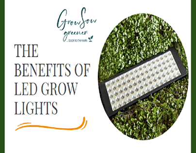 The Advantages of LED Grow Lights