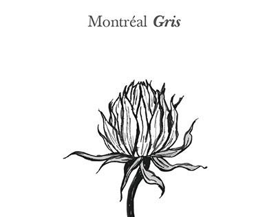 Montréal Gris