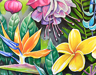 Tropical theme in marker's illustrations