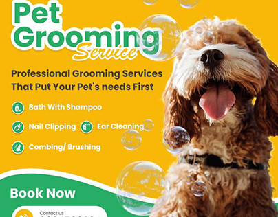 Best Pet Grooming Service Provider in Gujarat