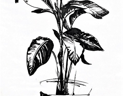 Plant print