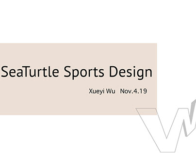 SeaTurtle Sports Design