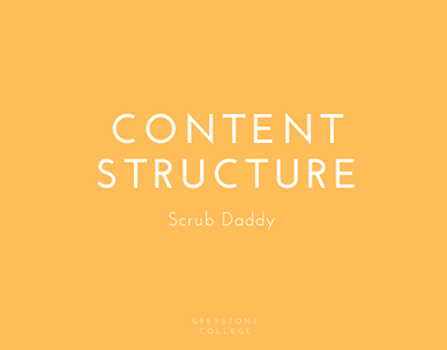 Content Structure Project - Scrub Daddy Sponge