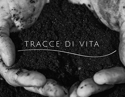 Tracce di Vita - wine brand design