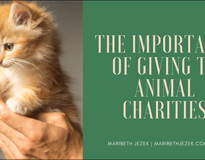 Animal Charities | Maribeth Jezek