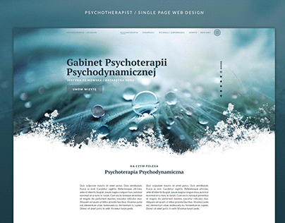 Psychotherapy Single Page Website Design