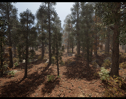 The Forest / Unreal Engine 5 ///