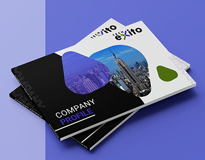 Techexito | IT Company | Company Profile Design