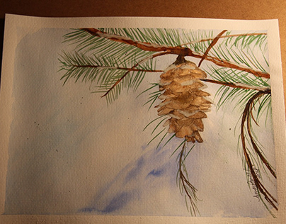 Winter Pine Cone
