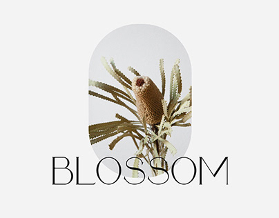 Blossom / flower shop