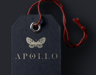 Apollo | Brand Concept