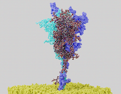 COVID19 Spike Protein Animation