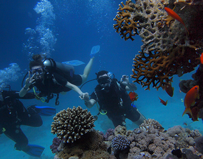 PADI Scuba Diver Requirements and Course Structure