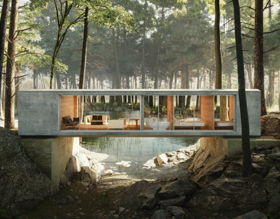 The house in the forest