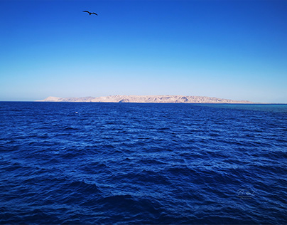 Landscape, Red Sea, Egypt