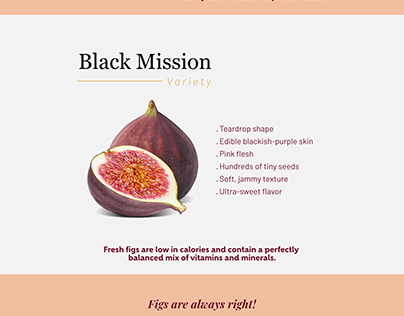 Sweet Seasons Figs Landing Page