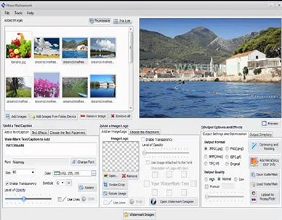 Which is the Best Mosaic Image Watermark Software