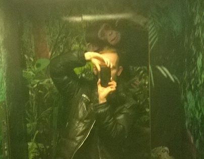 Jungle Elevator