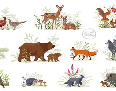 set forest animals