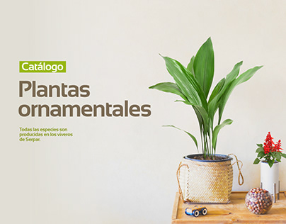 Catálogo - Plantas ornamentales Serpar