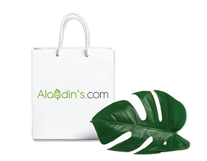 Alaadins.com - E-Commerce Website