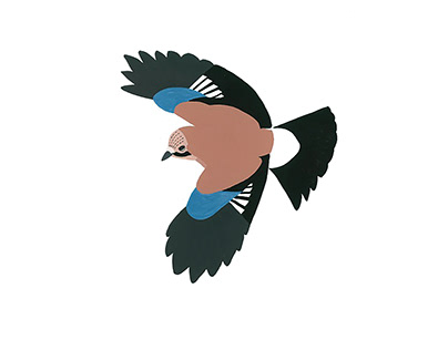 Project thumbnail - Birds in flight illustrations
