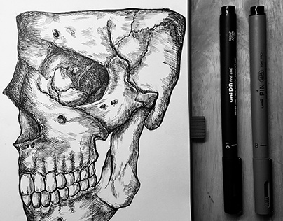 Pen and Ink Anatomy Study 2017 Human Skull