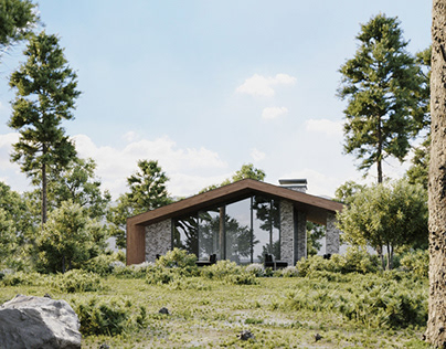 House in the woods. Exterior scene. Sale !!!